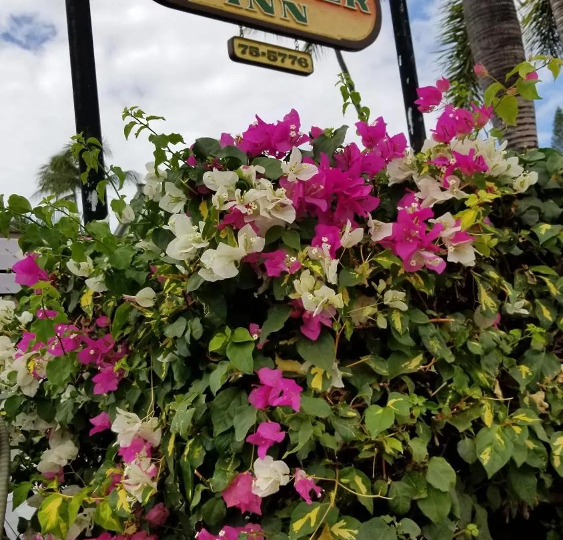 Aparthotel Downtown Hawaiian Theme Condo With Hot Tub, Pool & Beach - Kona Islander Inn Kailua-Kona